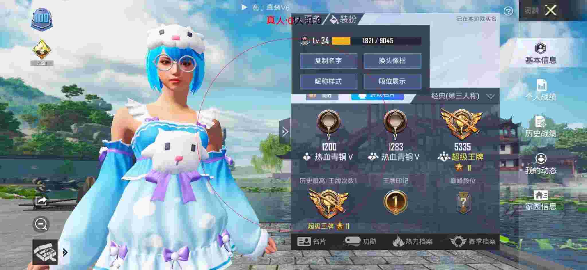 和平精英布丁直装透视 - 和平精英透视效果图高清辅助预览图